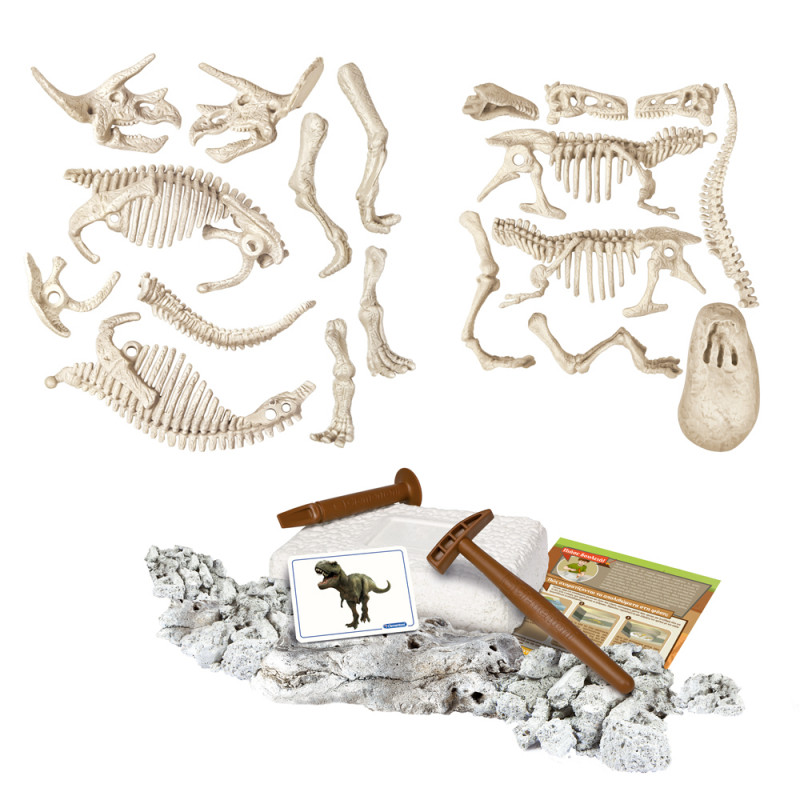 Science And Play Lab Educational Game Dinosaurs T-Rex And Triceratops For Ages 7+(1026-63403)