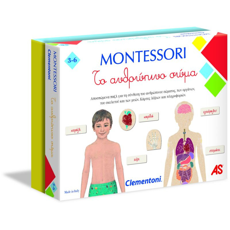 Montessori Educational Game Human Body For Ages 3-6(1024-63225)