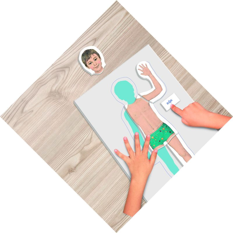 Montessori Educational Game Human Body For Ages 3-6(1024-63225)