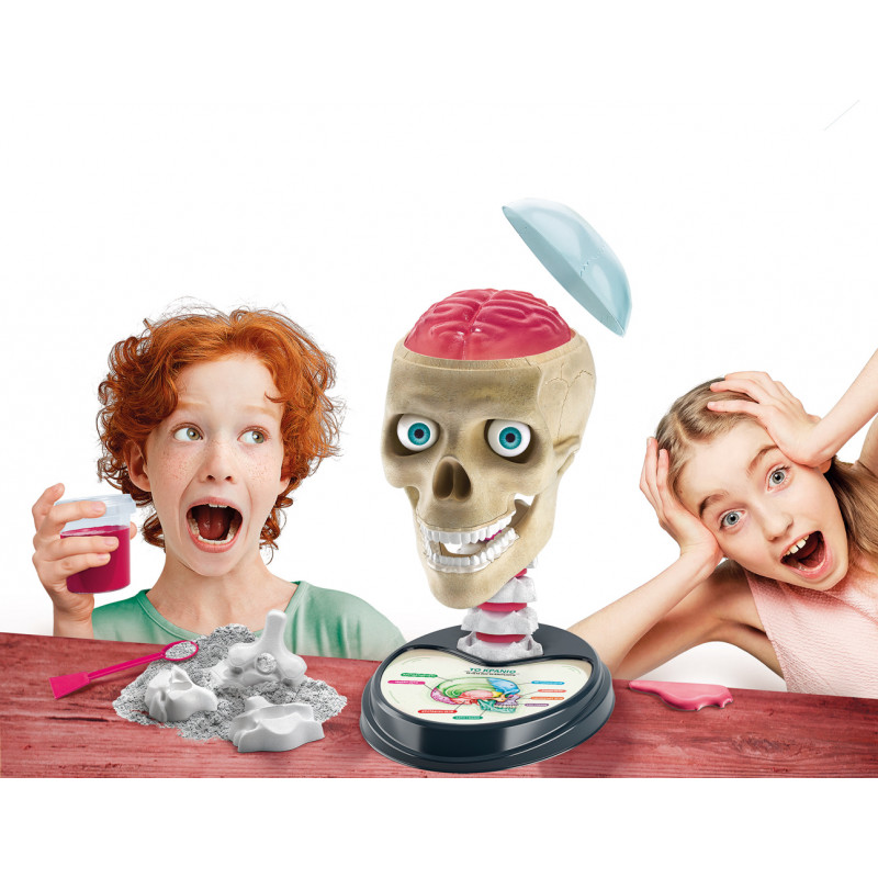 Science And Play Lab Educational Game Crazy Anatomy For Ages 8+(1026-63400)