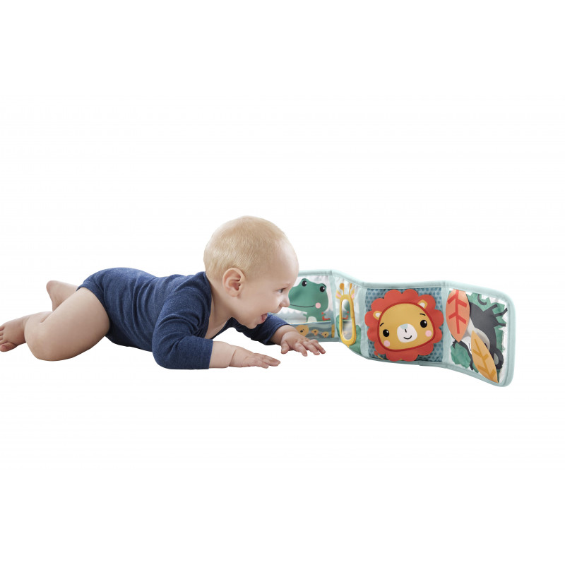 Fisher Price Πίνακας Δραστηριοτήτων (HML63)